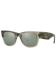 rayban sunglasses woman 0rb0840s 0rb0840s 66355c