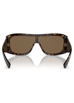 dolce&gabbana sunglasses woman 0dg4454 0dg4454 502 73