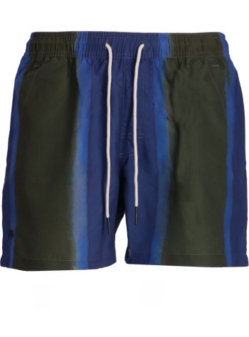 Murky Mist Swim Shorts