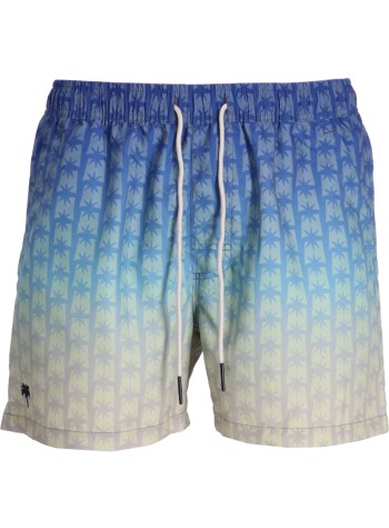 Polar Sky Swim Shorts