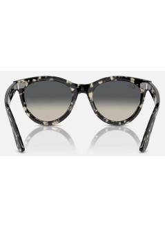 rayban sunglasses unisex0rb2241 - 0rb2241 133371