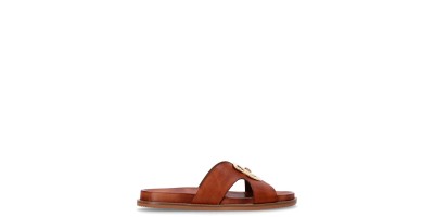 Marron Camel