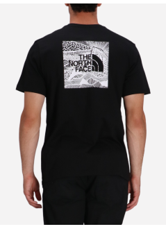 the north face t-shirt manm ss box nse celebration tee - nf0a87nvjk31 jk31