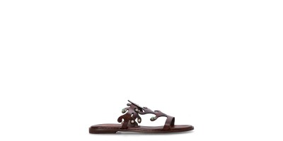 Marron Chocolate