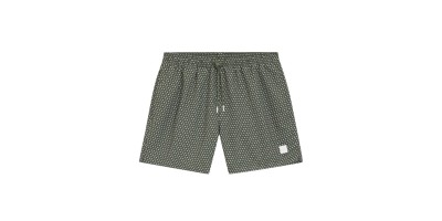 Verde Regular