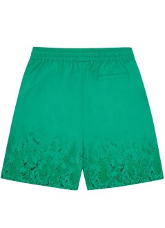 icecream cargo mangradient snakeskin running dog swim shorts - ic26113 green