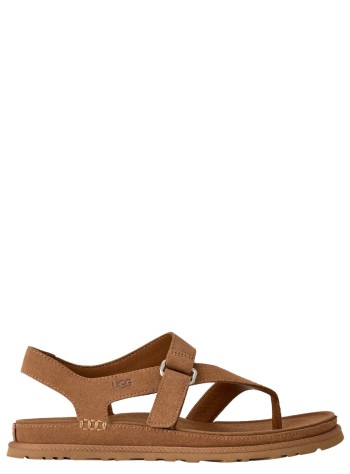 ugg sandal womangoldengaze toe post - 1175134 che