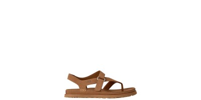 Marron Camel