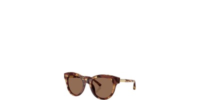 X Marron Oscuro Marron