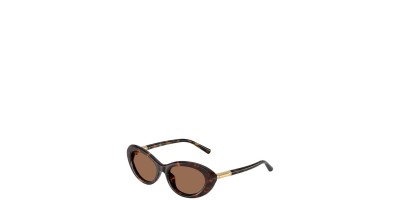 X Rojo Marron Claro