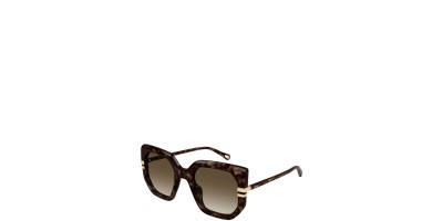 X Marron Oscuro Marron