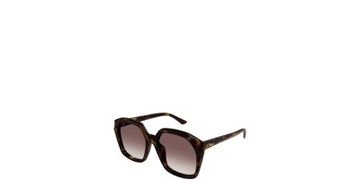 X Marron Oscuro Marron