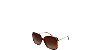 X Marron Oscuro Marron