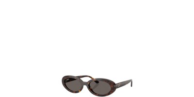 X Marron Oscuro Marron Oscuro