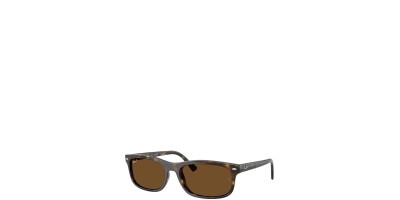 X Marron Oscuro Marron