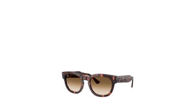 X Marron Marron