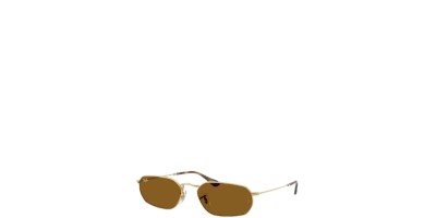 X Dorado Marron