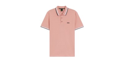 Rosa Regular