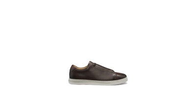 Marron Chocolate