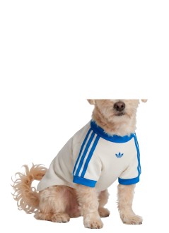 adidas originals other unisexpet cali tee - ky8732 owhite blubir