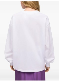 ganni sweater womanbasic cotton jersey longsleeve teddy mushroom - a1050304 151