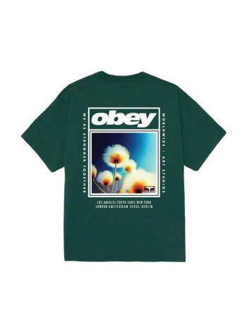 obey t-shirt manobey stronger together - 165264442 rfr 2