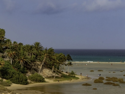 Sotavento, a paradise of 9 kilometers of clear sands in Fuerteventura