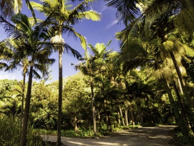 El Jardín de la Marquesa, un vergel de más 500 especies en Gran Canaria