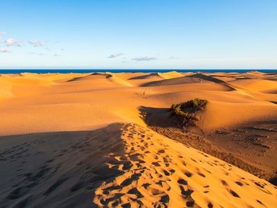 5 surprising facts and curiosities of Gran Canaria